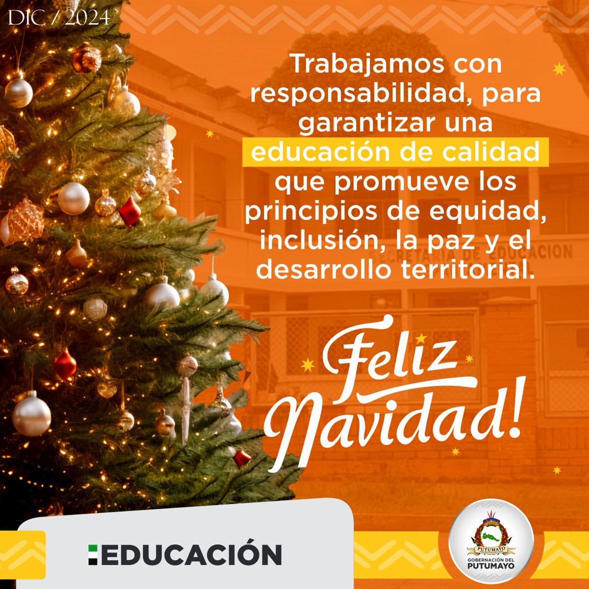 !FELIZ NAVIDAD!